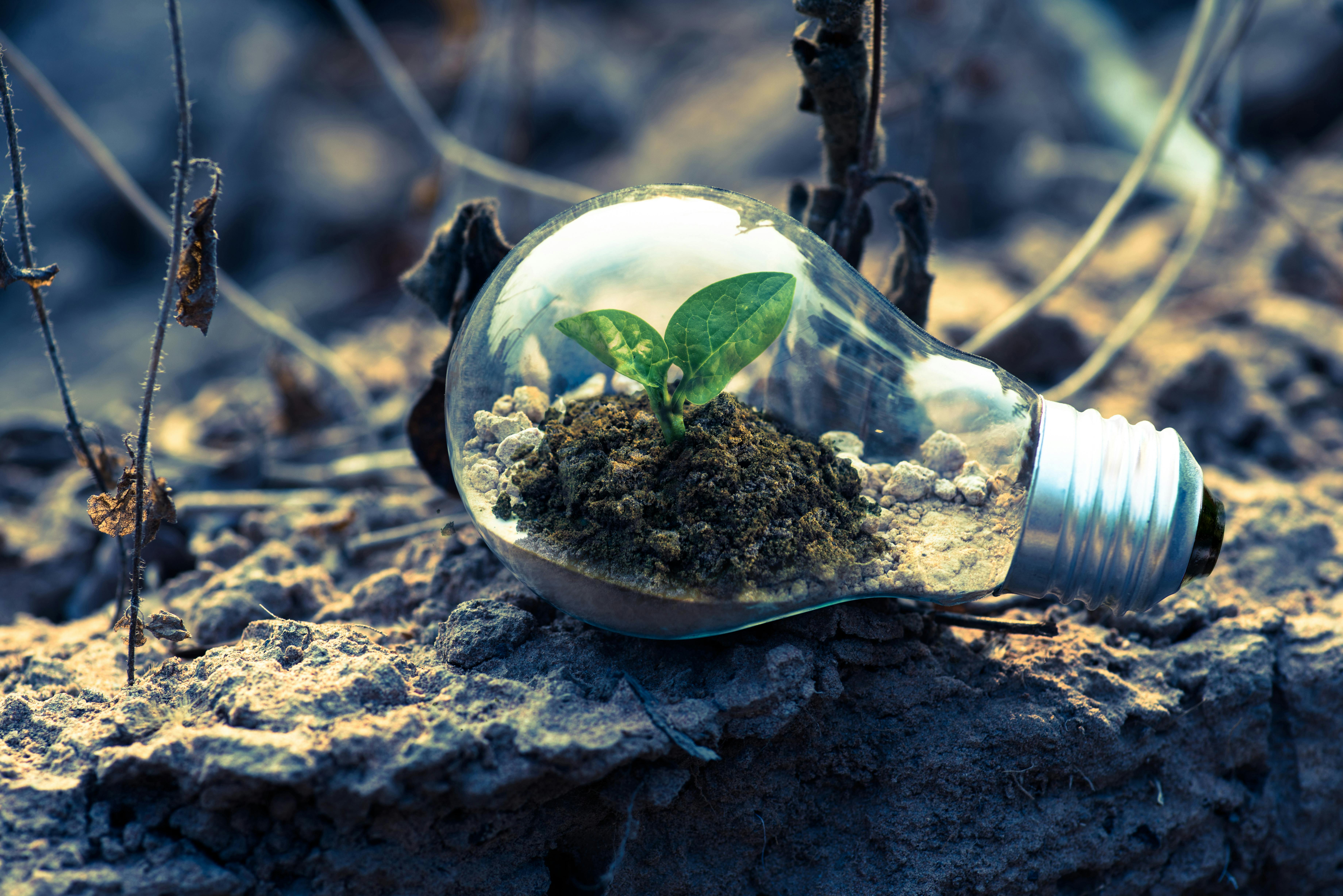 Environmental Due Diligence